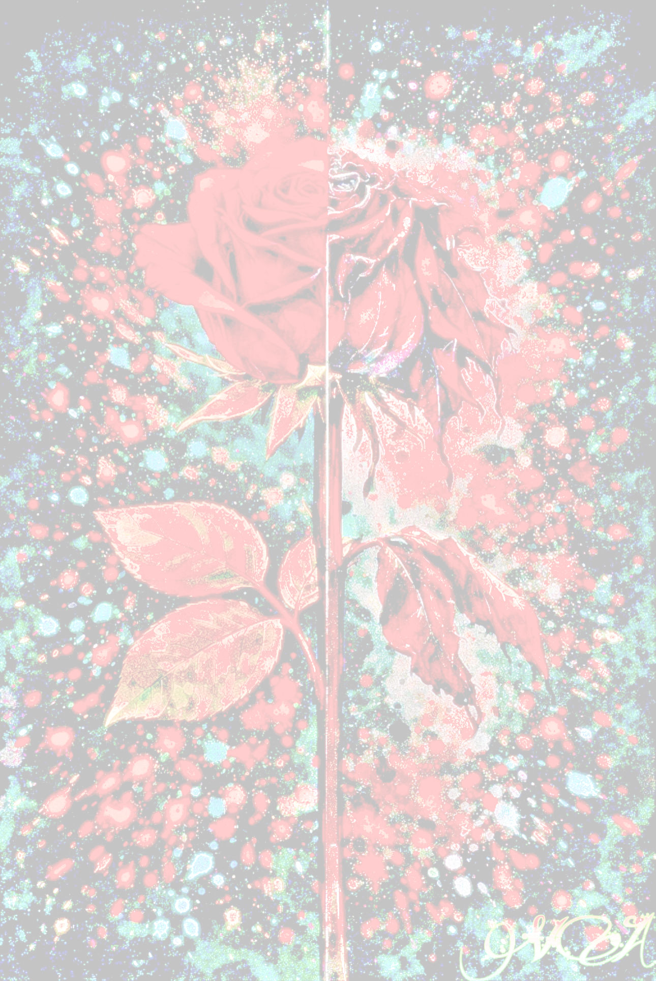 "Wilted and splattered"