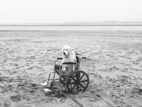 Tournage en Normandie