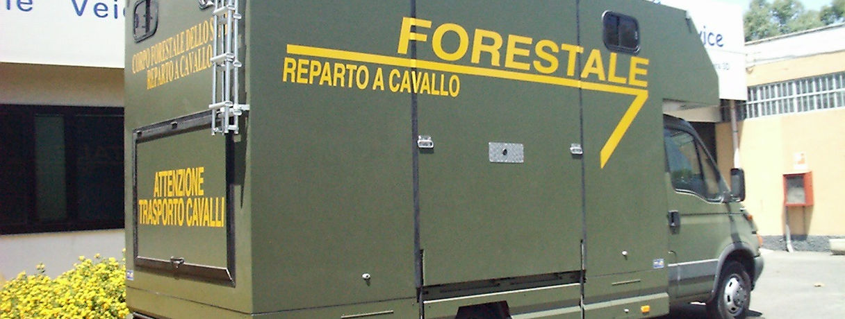 retro lato ingresso cavalli.jpg