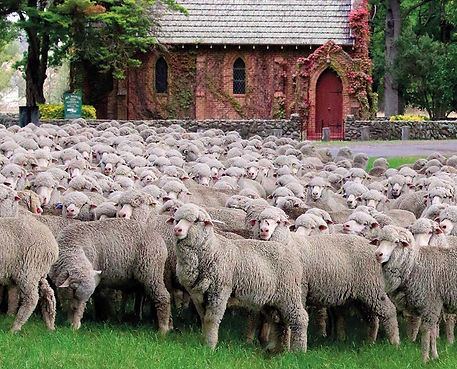 HS2538 Dragonfly Gostwyck Light