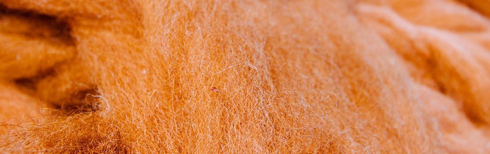 Tissus italiens Fratelli Tallia Di Delfino - Vigogne