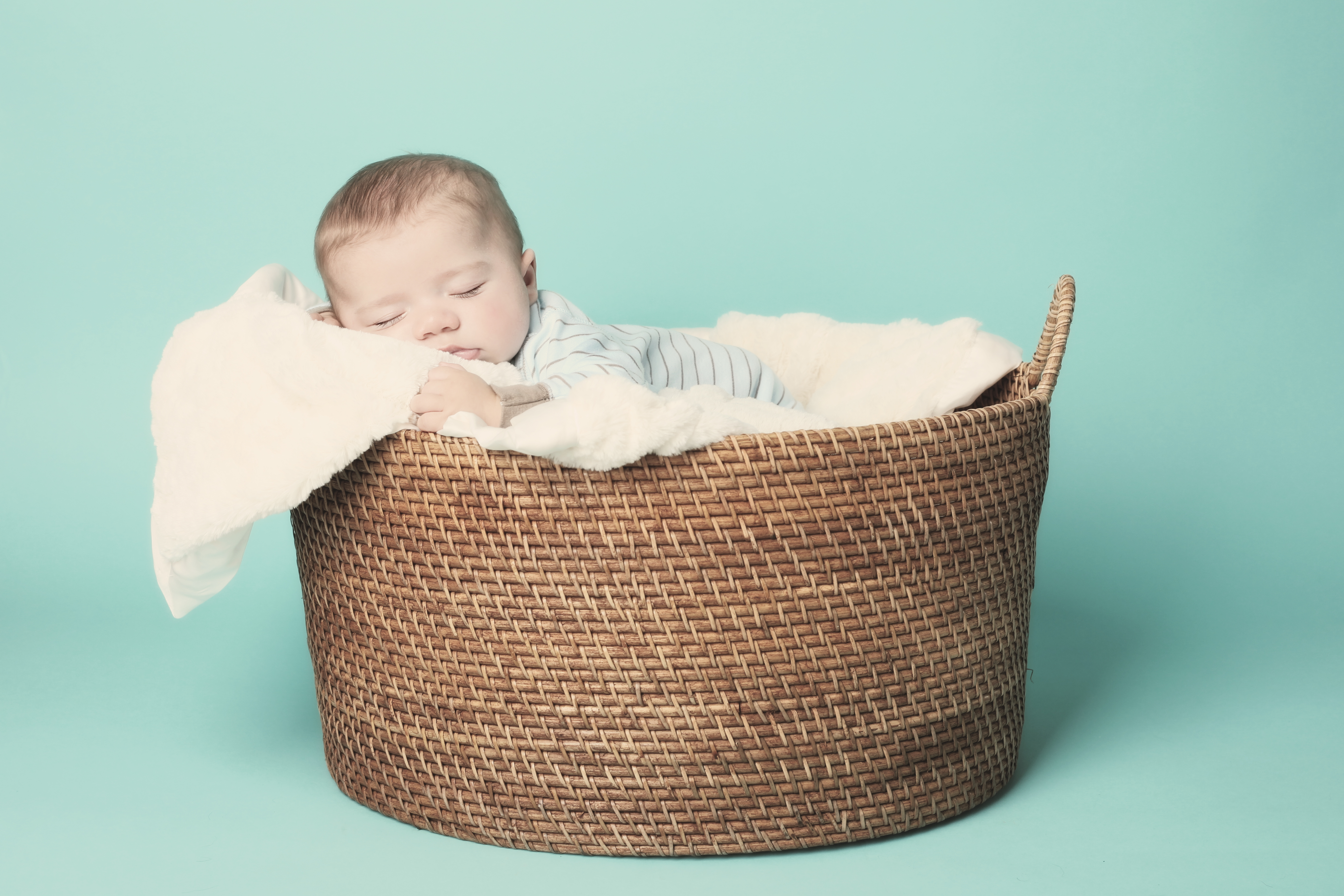 Henry in basket