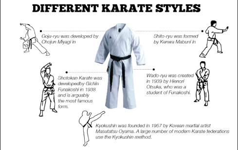 history-of-karate-infographic_edited.gif