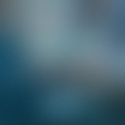 How Much For Business Productivity Software Cost​