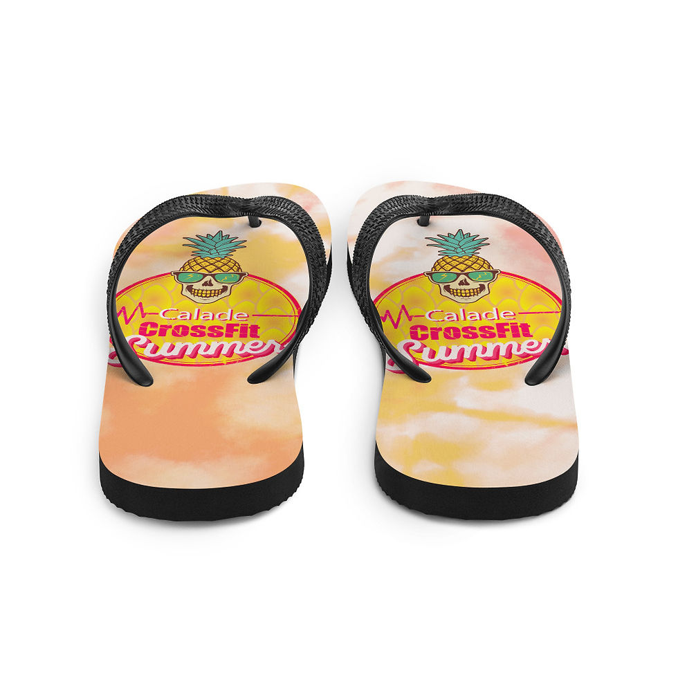 Miniature : Flip-Flops