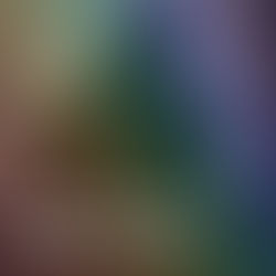 "A Night Of Stories" Event 