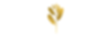 Untitled design (1).png