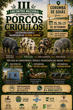 PORTAL CORUMBÁ DE GOIÁS