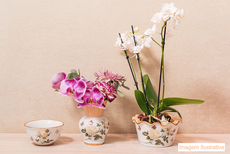 Miniatura: Vaso de Flor Rosa Branca