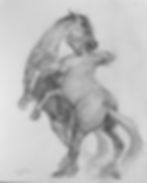 Mustangs in battle