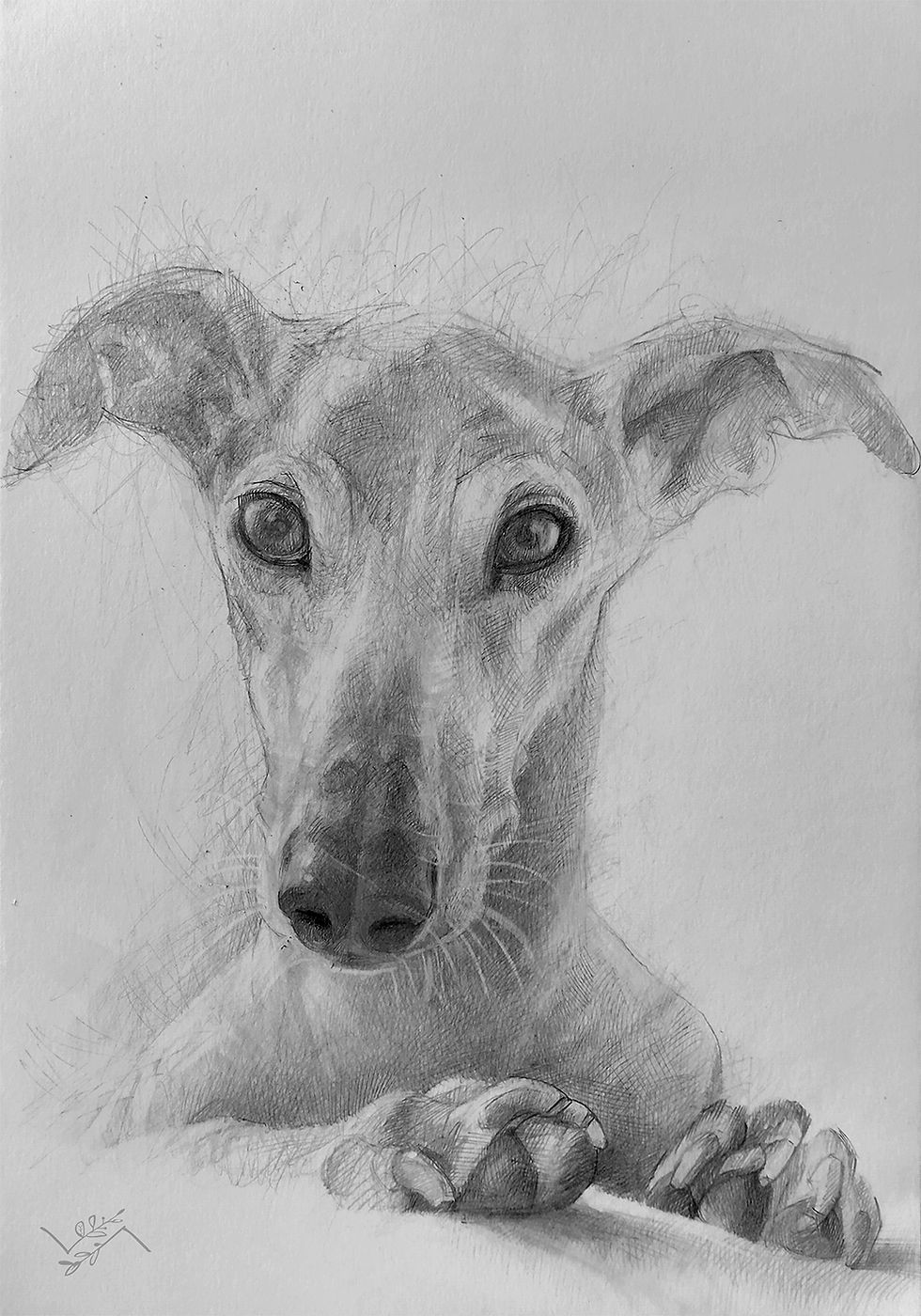 Sweety Dog Portrait