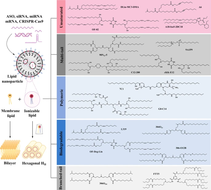 Fig 1. Major types of ionizable lipids. Images adapted from Nature communications 12.1 (2021): 7233.