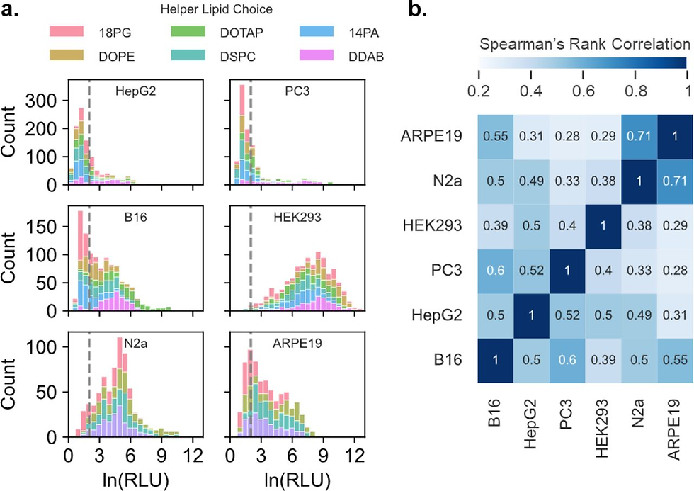Fig 6. Screening Results of helper lipids across the cell lines. (a) Distribution of transfection efficiency of each cell type colored by helper lipid used in formulation. Gray dotted line indicates the value used to floor the dataset during preprocessing (b) Heatmap of Spearman’s rank correlation coefficient of LNP formulation transfection between cell types after data preprocessing. Image from ACS nano 18.42 (2024): 28735-28747.