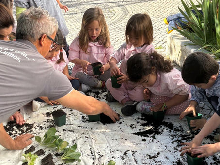 Pais com as Mãos na Terra: Jardim da Sala Encarnada Floresce com o Projeto Escola-Família