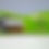 Thumbnail: NWFB NEOPLAN CENTROLINER