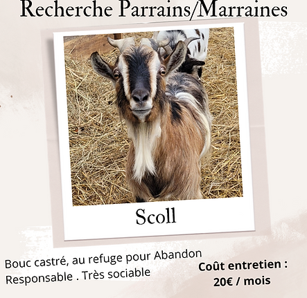 Copie de Copie de Beige Aesthetic Feminine Lifestyle Polaroid Photo Frame I_20250214_21194