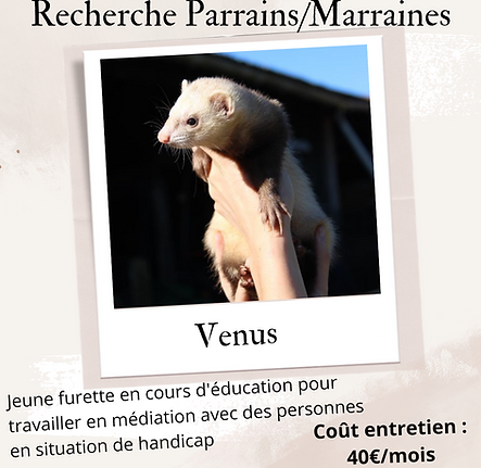 Copie de Copie de Beige Aesthetic Feminine Lifestyle Polaroid Photo Frame I_20250105_20575