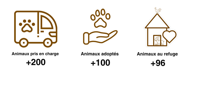 + 160 Prise en charge (15).png