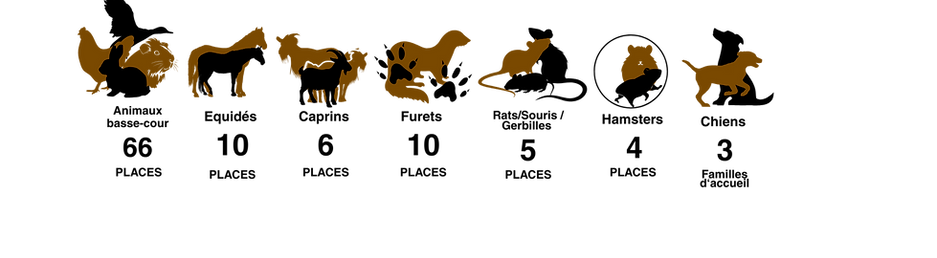 + 160 Prise en charge (10).png