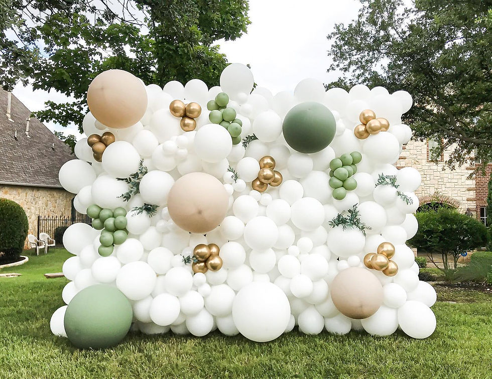 Balloon Wall outdoor natural