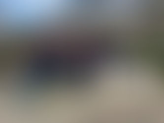 EF Battlefields Tour - continues!