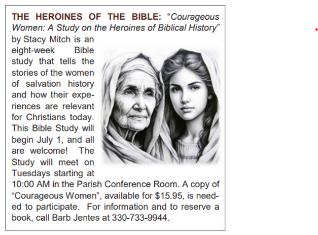 BibleStudySummer2025_edited.png