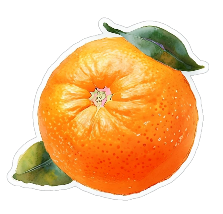 橘子背景透明 (陰影加深).png