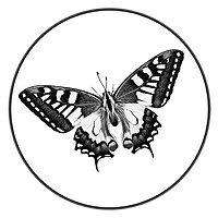 IMG_1769.PNG