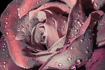 Dr%20Surendra%20Pathak%20on%20Twitter_ed