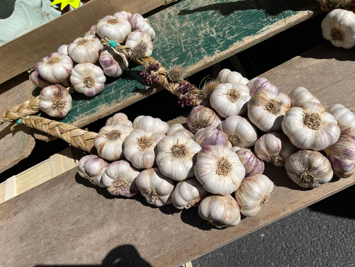 Clare's Roasted Garlic