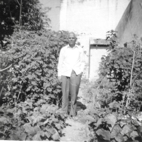 Corporate to Farming