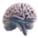 Salud Mental