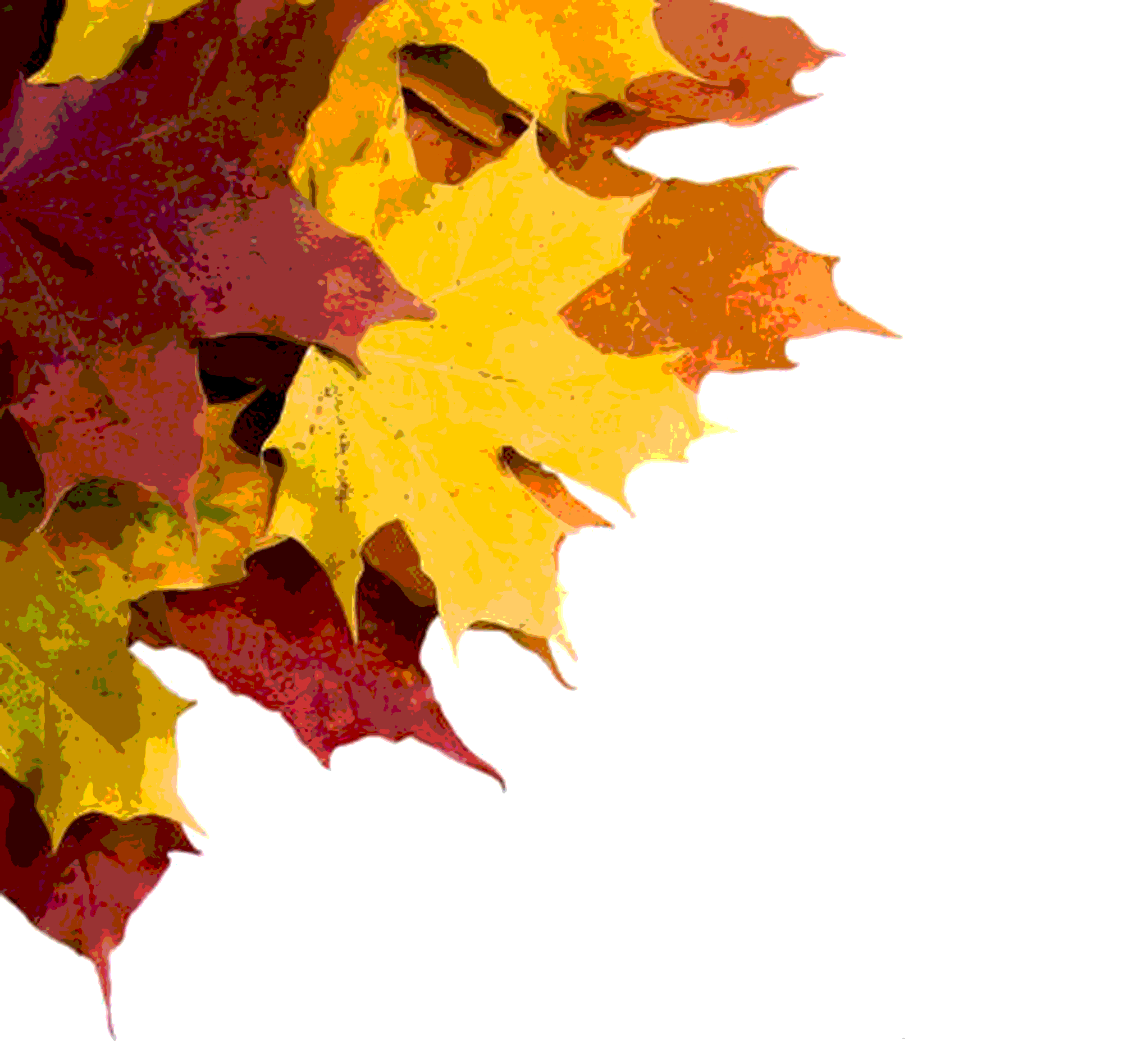 09a gif.gif