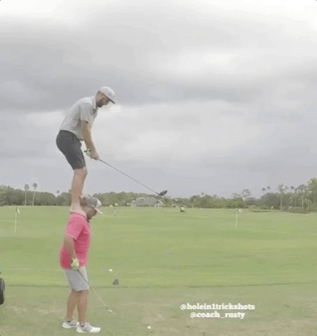 giphy (4).gif