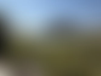 Roaming around the east coast of UAE