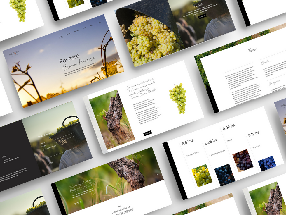 web-site-design-pandora