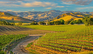 napa valley.jpg