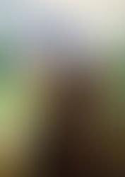 Meeting Wasana the Elephant at Khao Sok Elephant Sanctuary