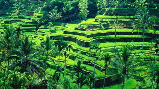 Travel Queen Bali Adventure Group Tour Holiday for Women - small luxury group tours, adventures, travel and holidays for independent / solo / single women in 20s, 30s, 40s, 50s