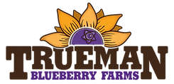image1.png