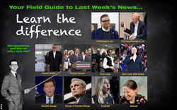 Field Guide to Last Week