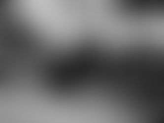 Willkommen zu unserem BJJ und Grappling Blog in Dresden!