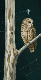 Original Oil Paintings & Digital Illustrations | Lauren (Voiers) Riley-Hawkins | Blue Cat Studios