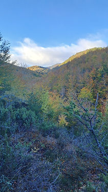 20231105_085218.jpg