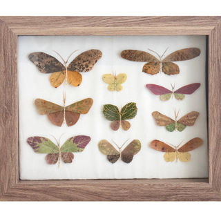 Kate Skeckarski
Shaped Leaves
Pressed Plant Confetti