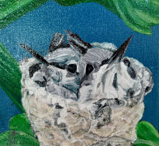 Tucked In
Robin Motzer