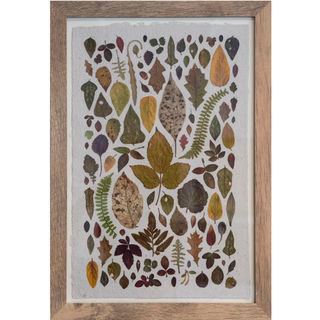 Kate Skeckarski
January
Pressed Plants