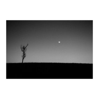 Moon Set - Pottawatomie County - Edition 2/10
Todd Horner
Photography
20" x 16"