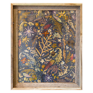 Kate Skeckarski
September
Pressed Plants