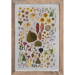 Kate Skeckarski
July
Pressed Plants